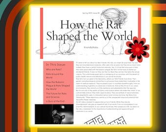 Rat Newsletter - How The Rat Shaped The World