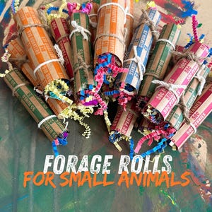 Small Animal Forage Toy, encourage enrichment “The Forage Roll”