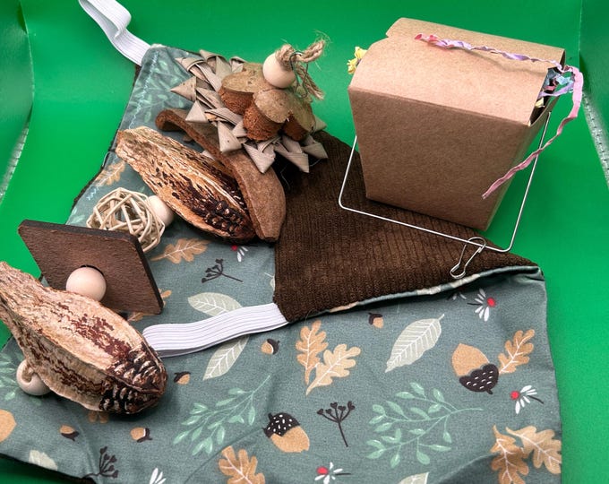 Rat Bundle with Toys and Hammock, Kit for Pet Rats, Mice, Natural Enrichment