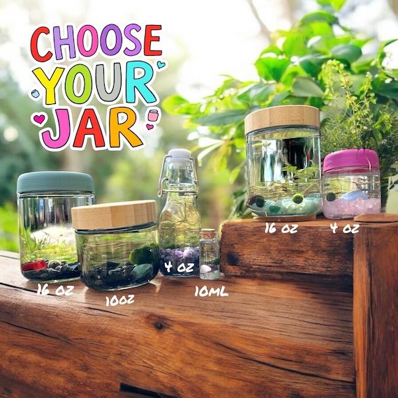 Marimo Mates, Japanese Algae Balls with Kits, 6-12 months old, alive and slowly growing