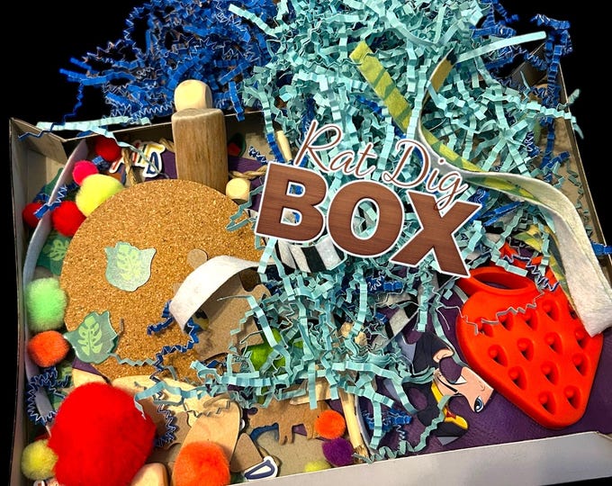 Rat Dig Box, enrichment items 100% rat safe