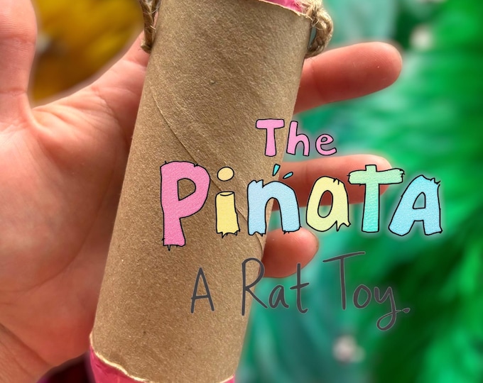 The Piñata: A Rat Toy