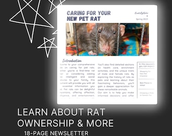 Rat Newsletter - How to Care for Your New Pet Rat & All Things Considered