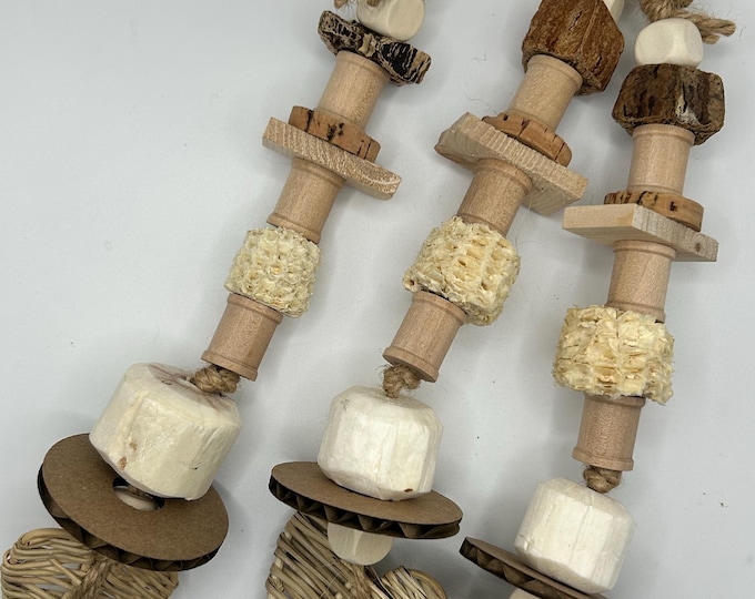 Chew Toy for Mouse, Hamster: Natural Enrichment for pet mice