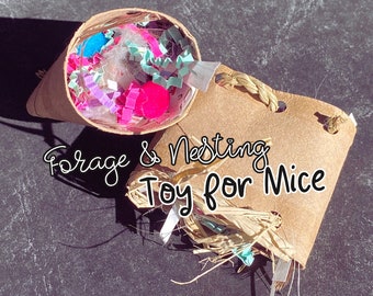 Toy for Pet Mouse | Mouse Forage & Nesting Toy | Enrichment Item for pet mice and rats