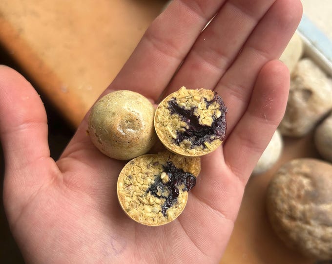 Gourmet Rat Treats: Blueberry Muffins for Rats (6 per order)