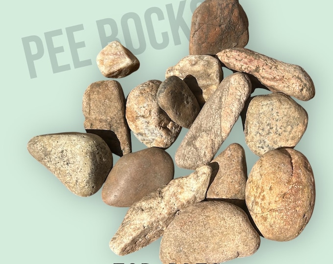 Rat Pee Rocks, set of 3 smooth, boiled, and ready to use for rat urine training, CO RIVER ROCKS