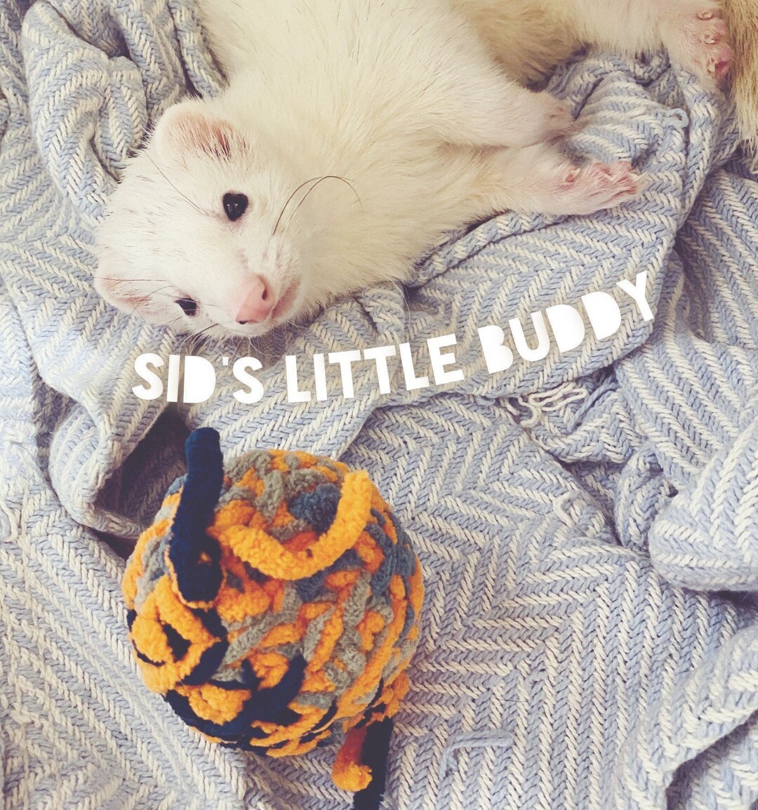 Ferret Toy Sids Little Buddy Ball With Feathers and Bells for Ferrets, Cats, or Rats Etsy