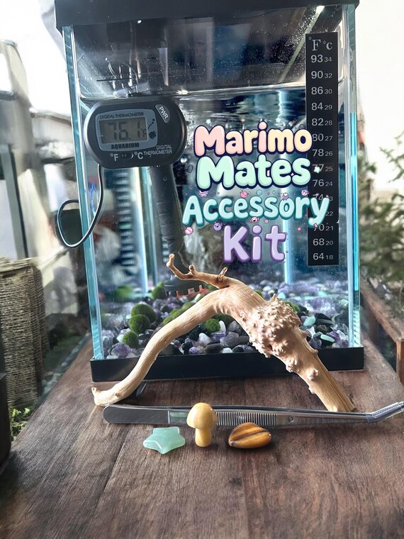 Marimo Mates Kit Accessories for Japanese Algae Ball Care