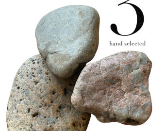 Rat Pee Rocks: Urine Training Set - Cage Enrichment (Set of 3)