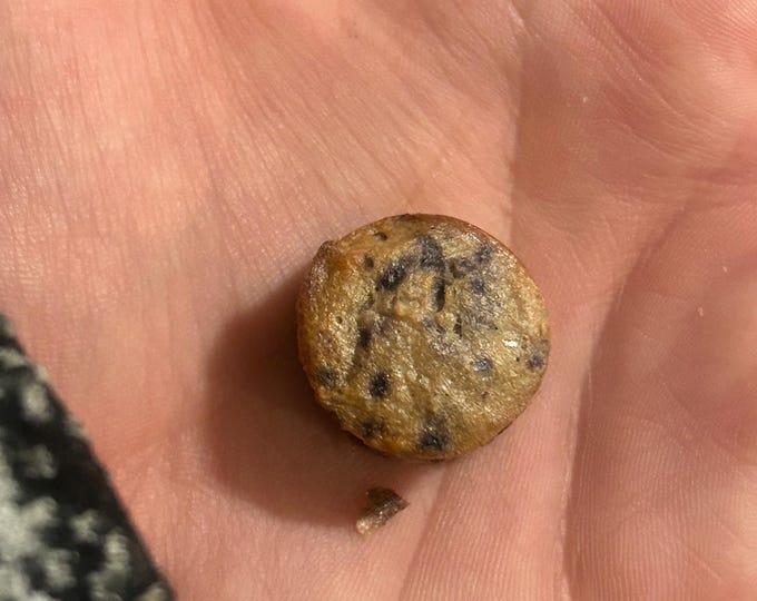 Organic Blueberry Oatmeal Rat Treats: Gluten-Free, Human Grade