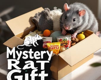 Mystery Rat Gift Box, could include toys, treats, and hammocks
