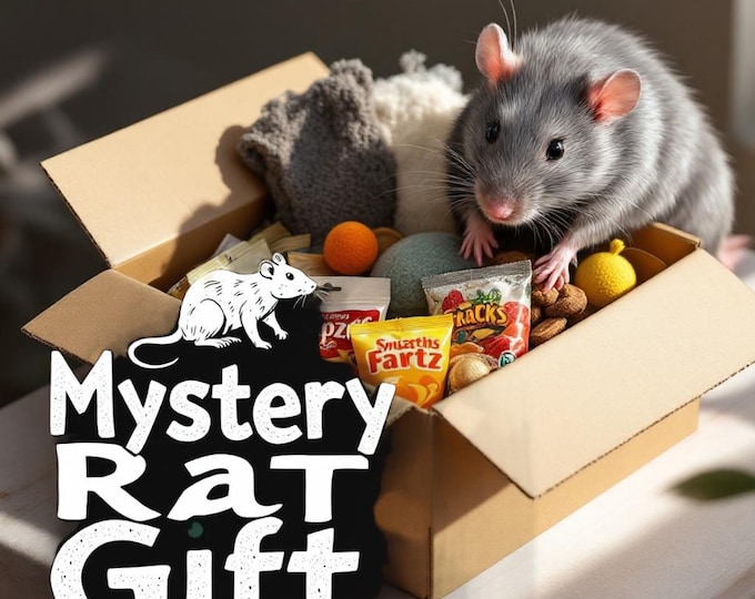 Mystery Rat Gift Box, could include toys, treats, and hammocks