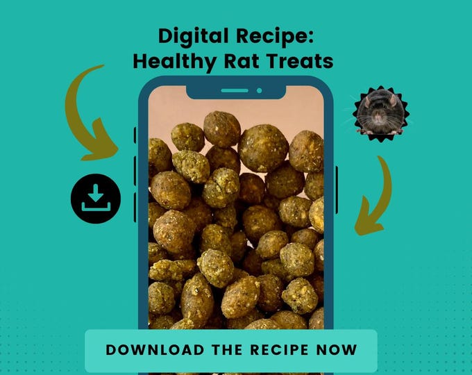 Rat Treat Recipe Download in ENGLISH - Healthy Rat Nibblets digital recipe