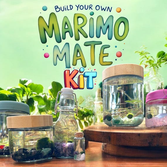 DIY Marimo Mates Terrarium for Japanese Algae Balls