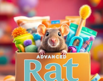 Advanced Pet Rat Kit