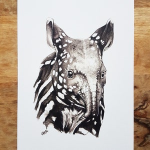 Baby Tapir A4 Print (Unframed) - Animal Lovers - Classic Watercolour Print