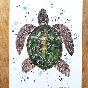 Sea Turtle A4 Print (Unframed) - Seaside Lovers - Classic Watercolour Print