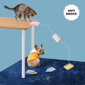 May include: A tabby cat on a wooden table knocks over a container of yellow beads, with a French bulldog in a yellow hoodie watching. The text "ANTI KNOCK" is in a white square. The beads are spilling onto a blue rug.