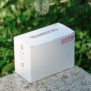May include: A white rectangular cardboard box featuring the text TRABRICKS on the top and the logo AngieBabys Diamonds on the side. The side panel includes small black icons and text indicating travel friendly and compact features in English.