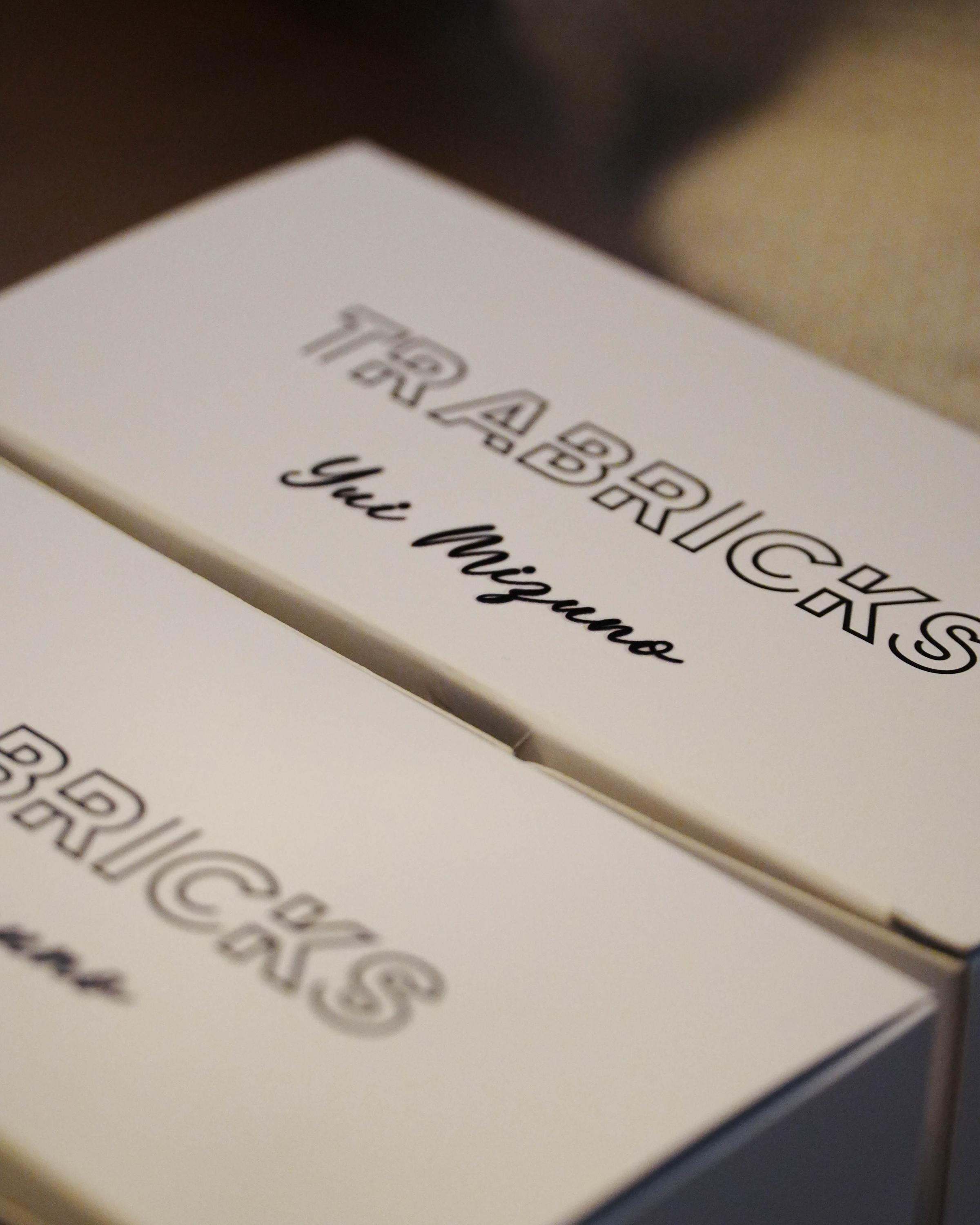 Cateared Trabricks, Stackable Diamond Painting Trays With Lids