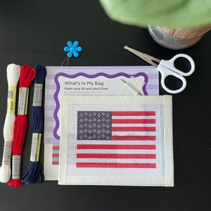 May include: A needlepoint kit featuring a canvas with a printed American flag design, three skeins of embroidery floss in white, red, and navy blue, a blue flower-shaped needle threader, a sewing needle, and an instruction card titled What's in My Bag.