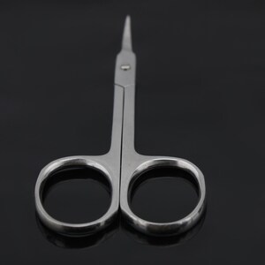 May include: A pair of small, silver-colored scissors with pointed tips. The scissors are open and the blades are visible.