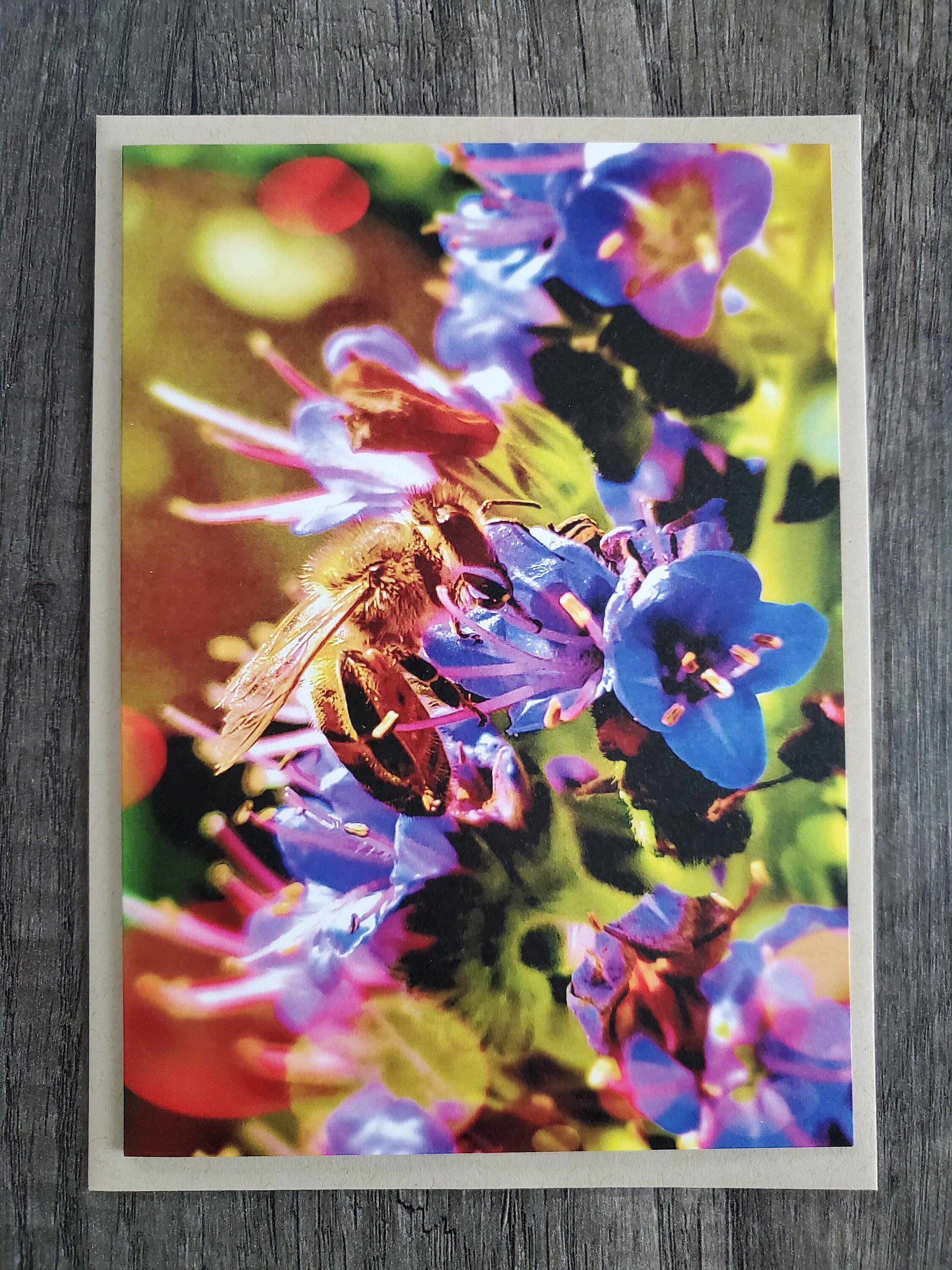 5 Blank Notecards 5x7 Folded Cards Bee On Pride Of Madeira Etsy