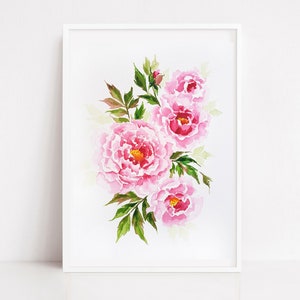 Pittura Peonie Rosa Floreale Arte Originale. Illusrativo Acquerello su carta 7" x 10 ".