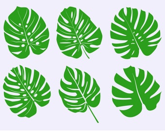 Monstera Svg Etsy
