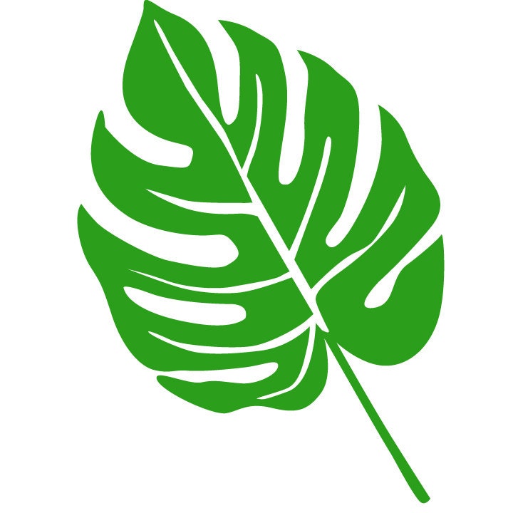 Monstera svg Monstera leaf svg Monstera leaf cut file Monstera | Etsy