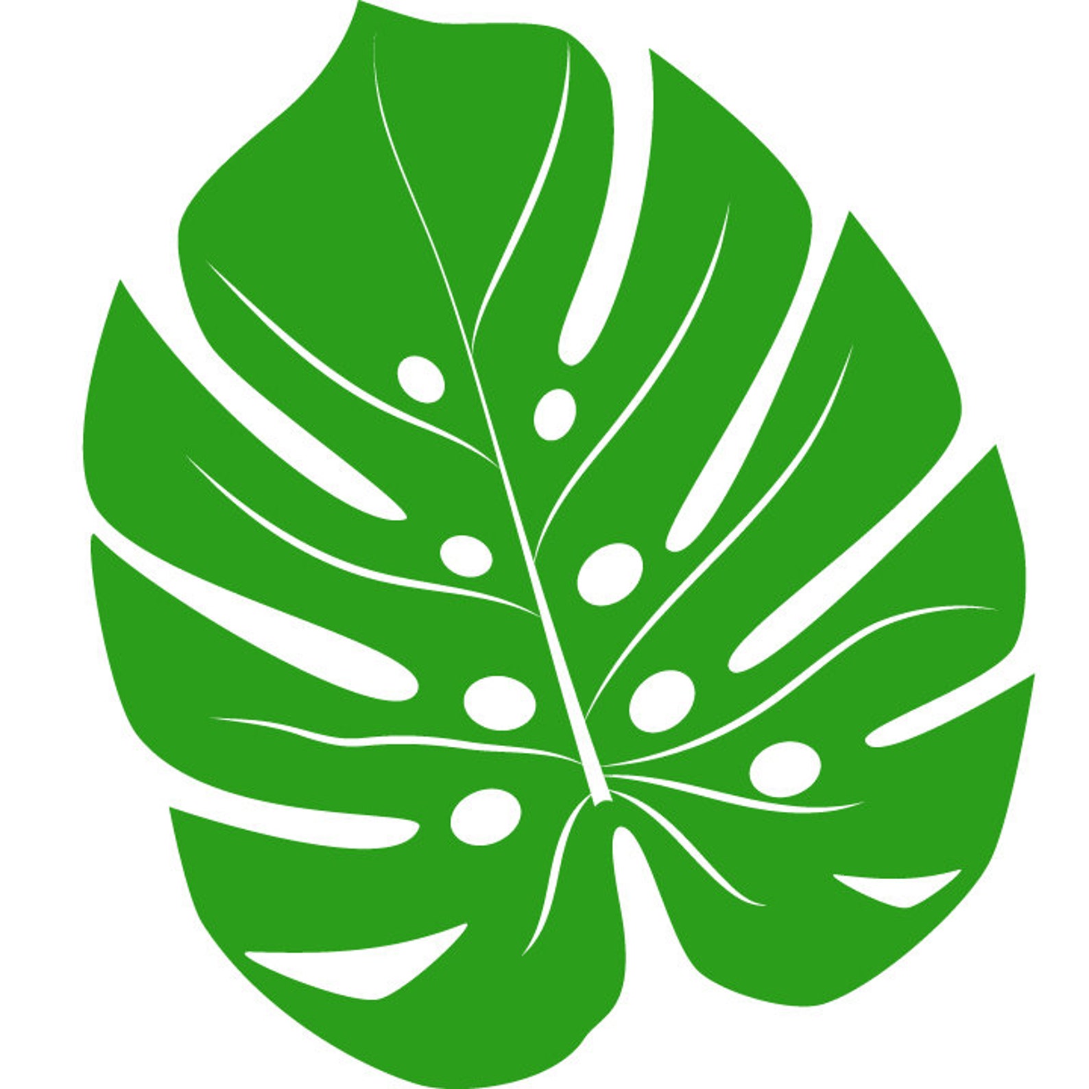 Monstera Svg Monstera Leaf Svg Monstera Leaf Cut File Monstera Etsy