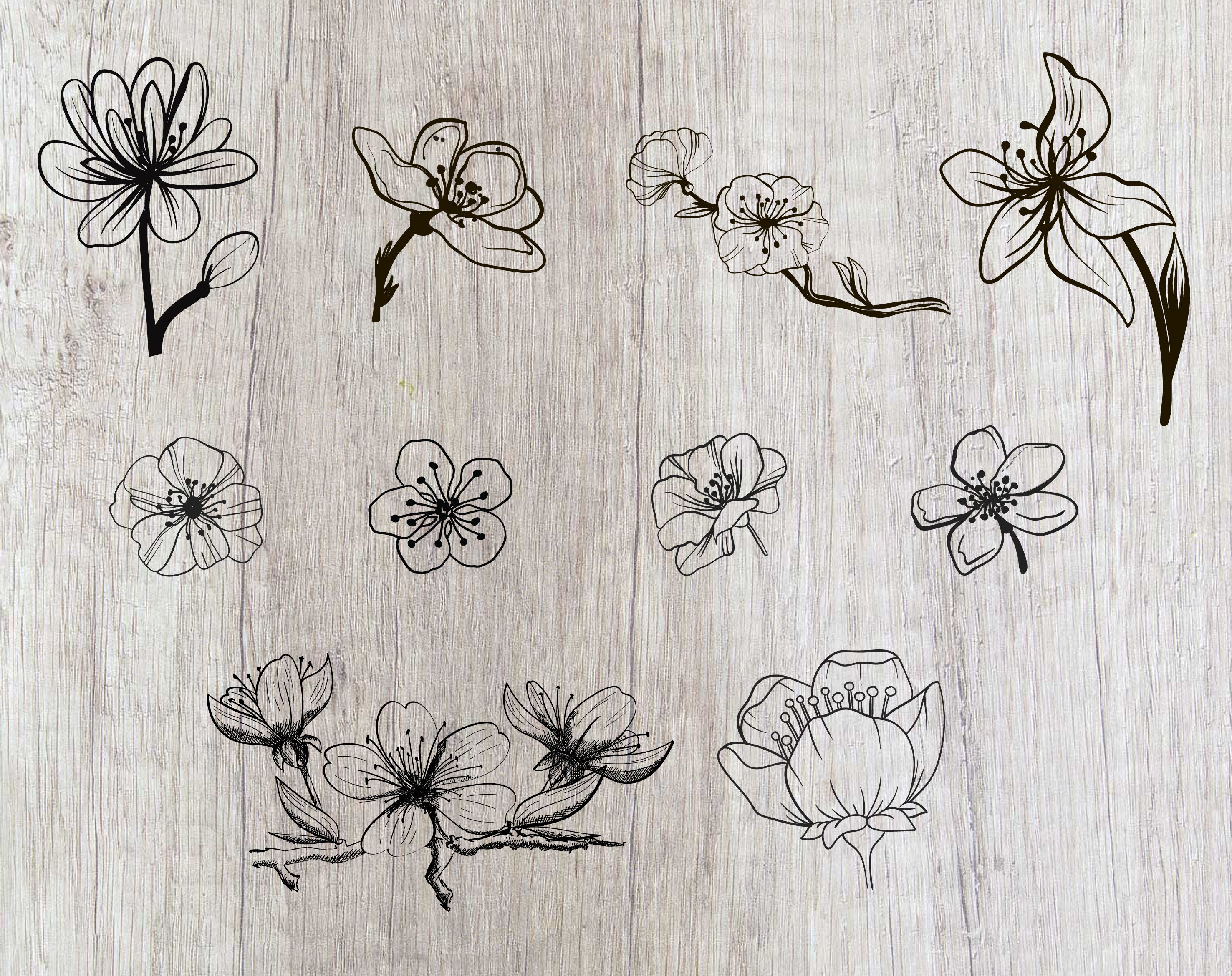 Free Free 184 Magnolia Flower Svg File Free SVG PNG EPS DXF File