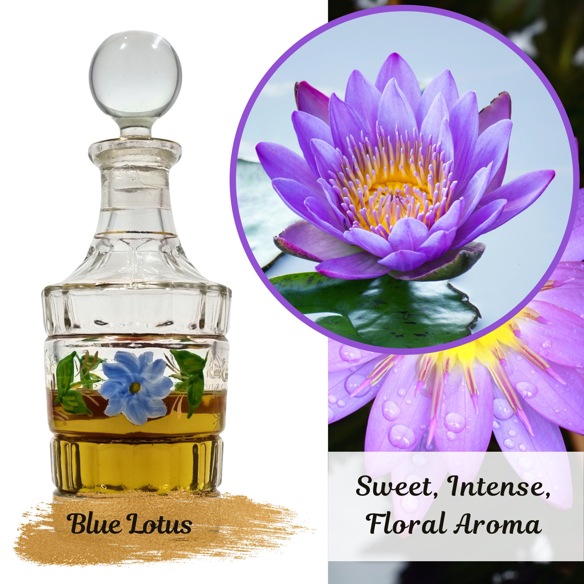 Lotusextrakt - Nymphaea caerulea - Blauer Lotus - Cosmacon