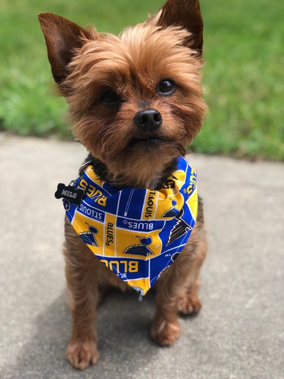 st louis blues dog jersey