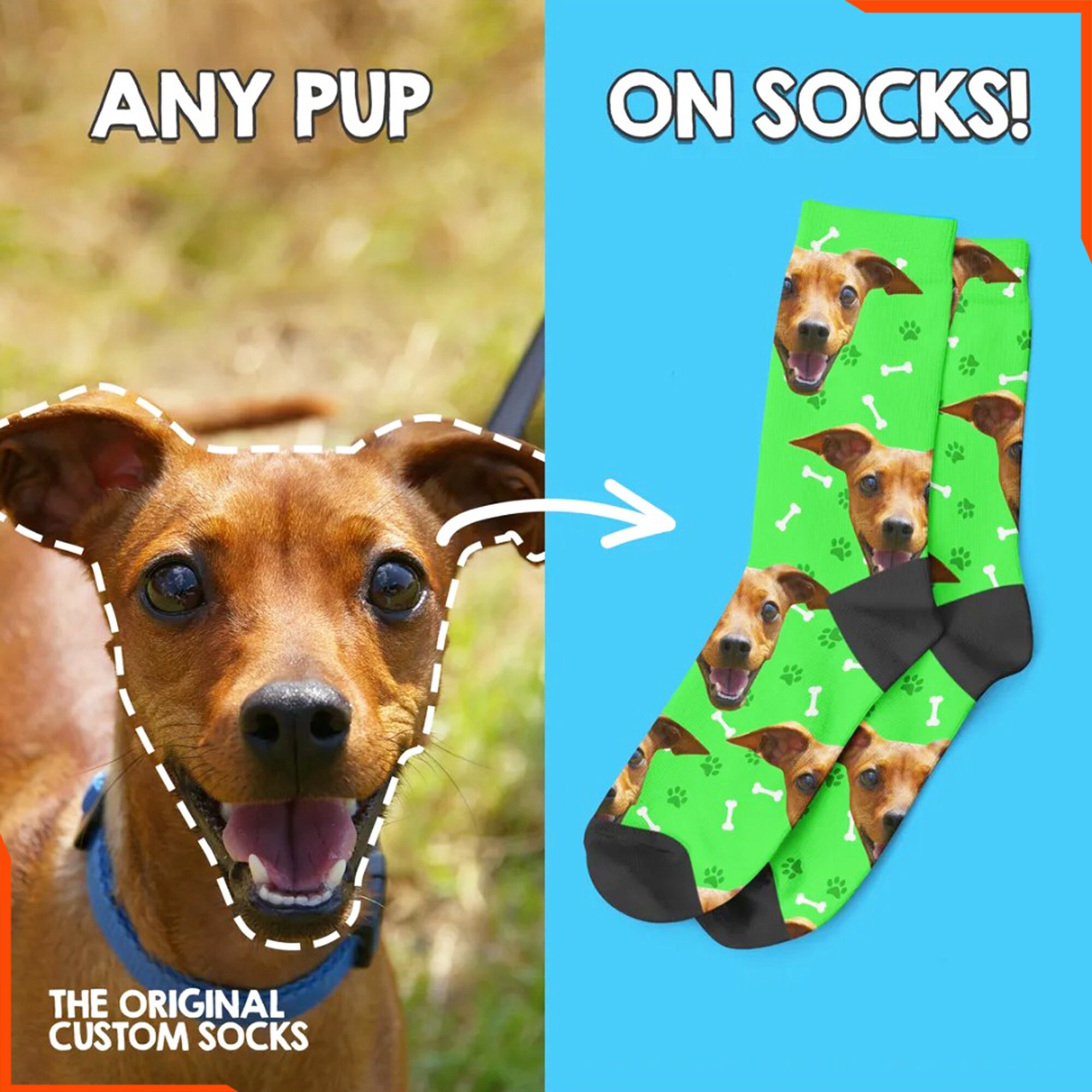 pets face on socks
