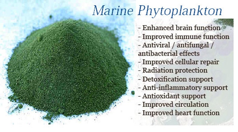 Фитопланктон вес. Marine phytoplankton добавка к пище польза и вред. Фитопланктон купить.