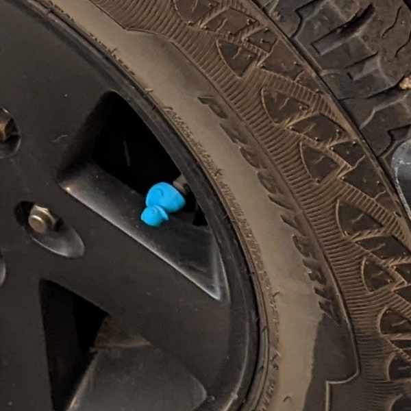 Duck 3D Printed Tire Valve Cap