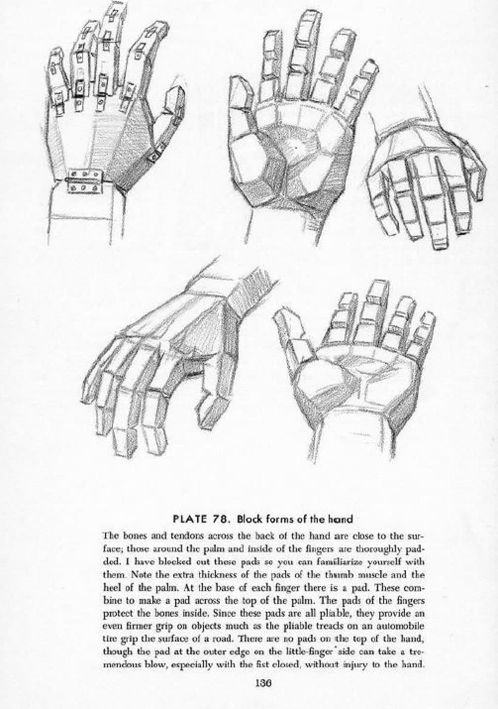 hand drawing', 'hand drawing tutorial' in Drawing References and Resources