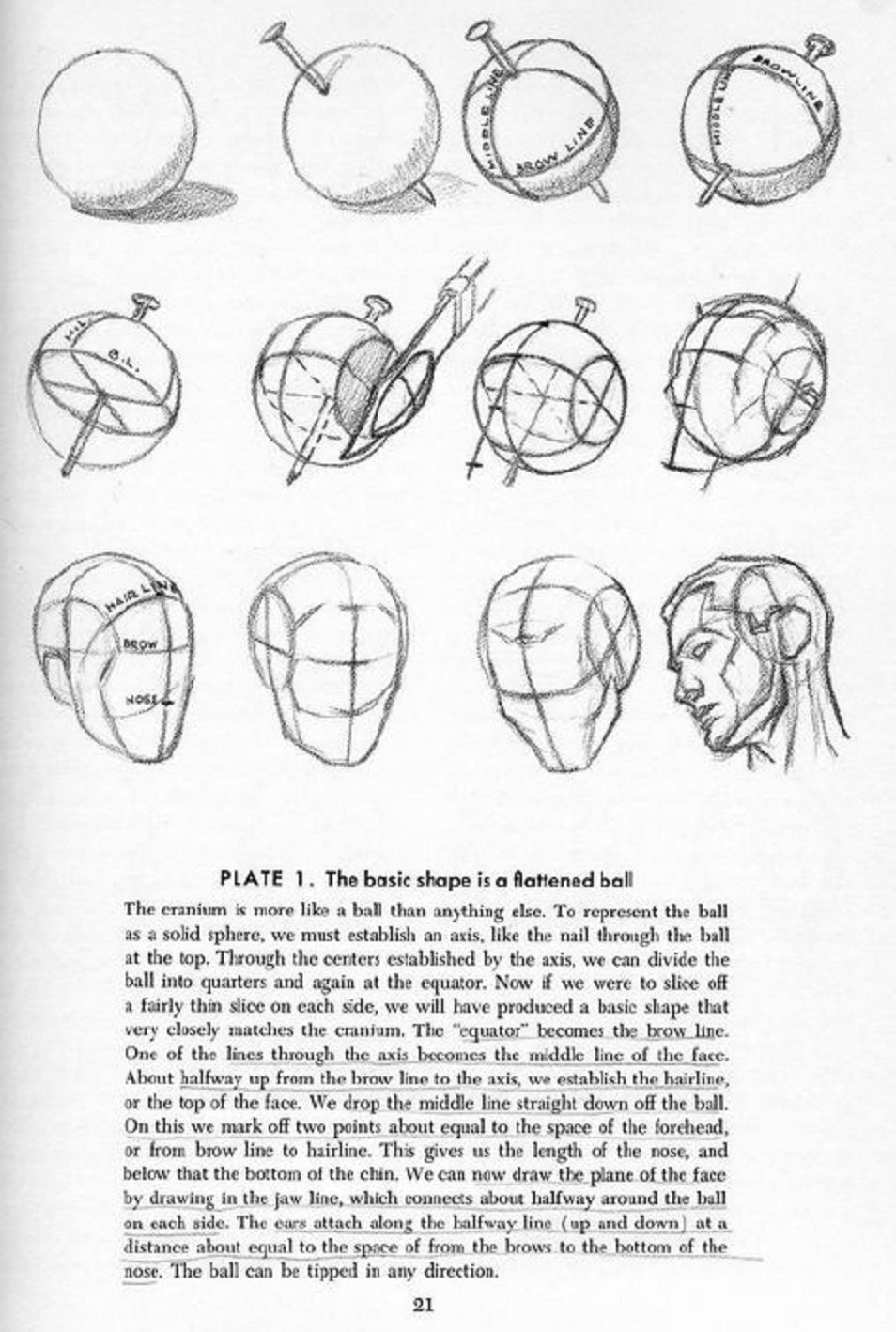 Drawing the Head and Hands by Andrew Loomis RARE Vintage Art of Drawing