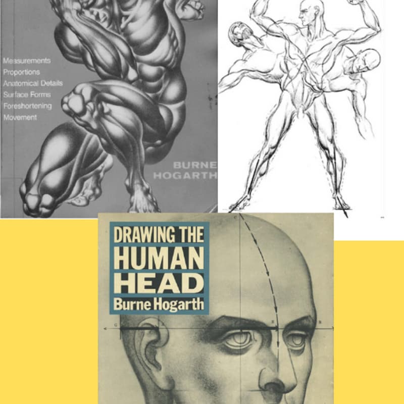Anatomy Drawing - Etsy