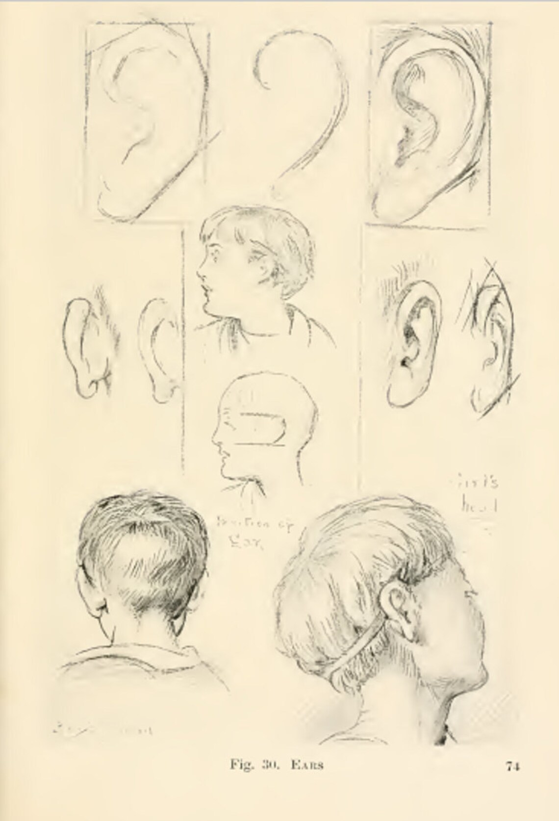 DRAWING for BEGINNERS an Illustrated Handbook on Learning to Draw ...