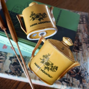 Vintage Souvenir Magic Mountain Ceramic Salt and Pepper Shaker Set