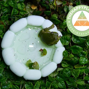 May include: A white, octagonal, 3D-printed frog bath with a frog inside, surrounded by green foliage. The bath has a light green liquid inside. The Happy Place 46 logo is visible.