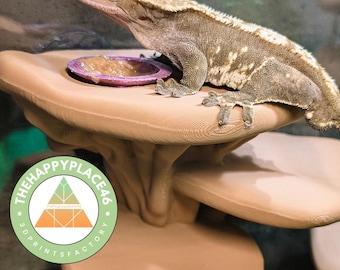 Repisa de alimentación de gecko crestado con forma de hongo de varios niveles