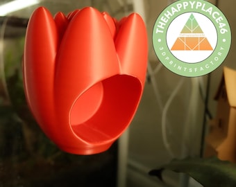 Frog and Gecko Tulip Flower Hanging Hide
