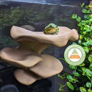 Frog and Gecko Multiplatform Ledge Realistic Mushroom