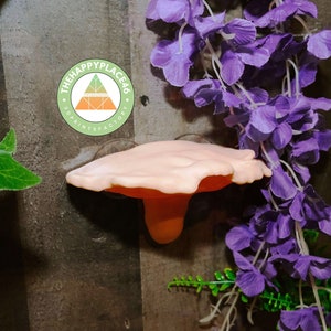 Crested Gecko and Frog Hanging Realistic Mushroom Platform