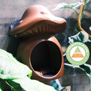 Hanging Mushroom House Hide for Crested Geckos, Frogs, Other Reptiles and Amphibians