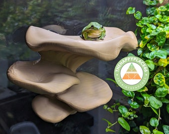 Frog and Gecko Multiplatform Ledge Realistic Mushroom
